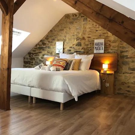 En Duplex Centre-ville Boheme Apartment Vannes