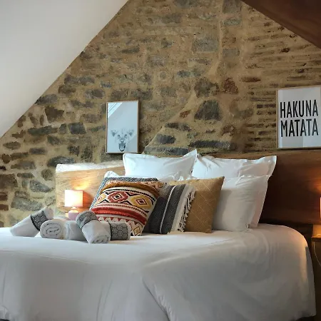 En Duplex Centre-ville Boheme Apartment Vannes